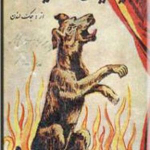 میخائیل، سگ سیرک - جک لندن